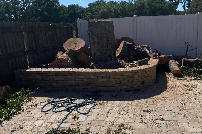 Tree Removal Service